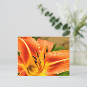 Cartão Postal Orange Tiger Lily