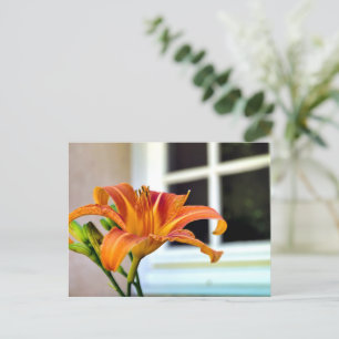 Cartão Postal Orange Tiger Lily