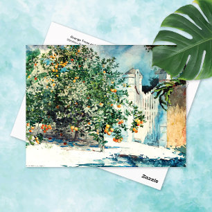 Cartão Postal Orange Tree Gate Nassau Winslow Homer