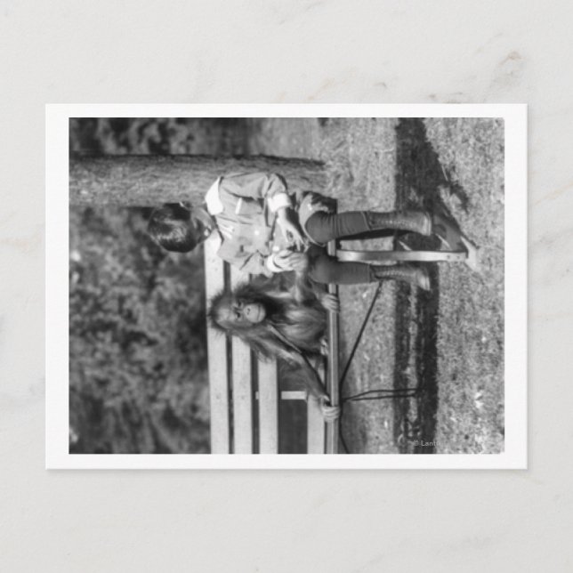 Cartão Postal Orangutan e Boy na fotografia do zoológico naciona (Frente)