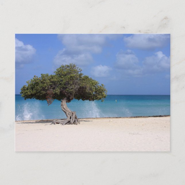 Cartão Postal oranjestad (Frente)