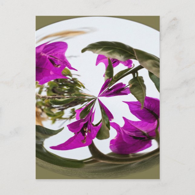 Cartão Postal Orb Flor Roxo e Branco (Frente)