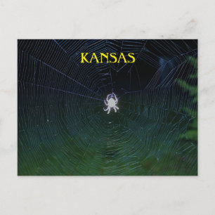 Cartão Postal Orb Weaver à Noite