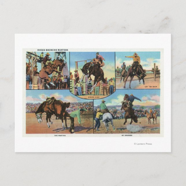 Cartão Postal Órbvio Cênico de Rodeo Bronco Busters (Frente)