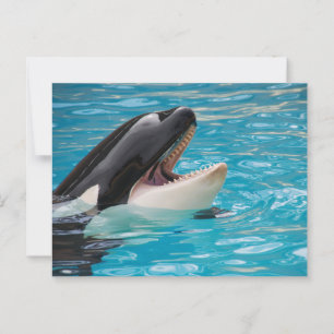 Cartão Postal Orca, Cartão-postal de baleia da Killer