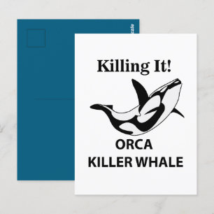 Cartão Postal Orca Killer Whale Matando Engraçado