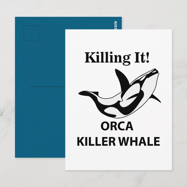 Cartão Postal Orca Killer Whale Matando Engraçado (Frente/Verso)