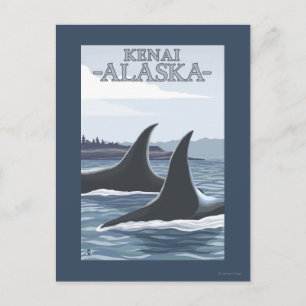 Cartão Postal Orca Whales #1 - Kenai, Alaska