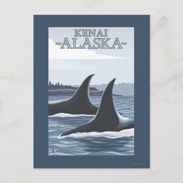 Cartão Postal Orca Whales #1 - Kenai, Alaska (Frente)