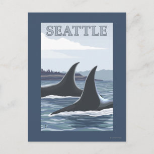 Cartão Postal Orca Whales #1 - Seattle, Washington
