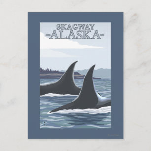 Cartão Postal Orca Whales #1 - Skagway, Alasca