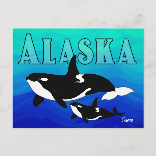 Cartão Postal Orcas, Alasca - Cartão-postal (Frente)