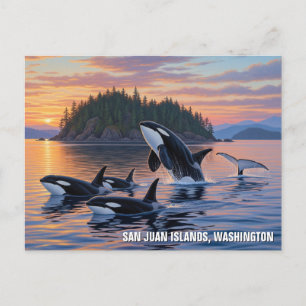 Cartão Postal Orcas em Washington san juan Islands viagem