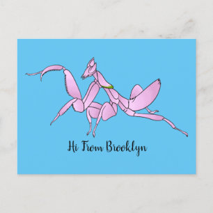 Cartão Postal Orchid mantis cartoon illustration 
