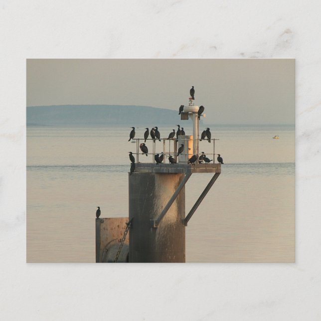 Cartão Postal Ordem de correção (Frente)