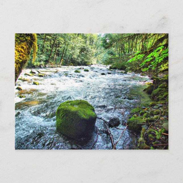 Cartão Postal Oregon (Frente)