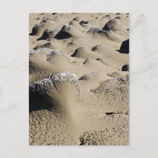 Cartão Postal Oregon Beach