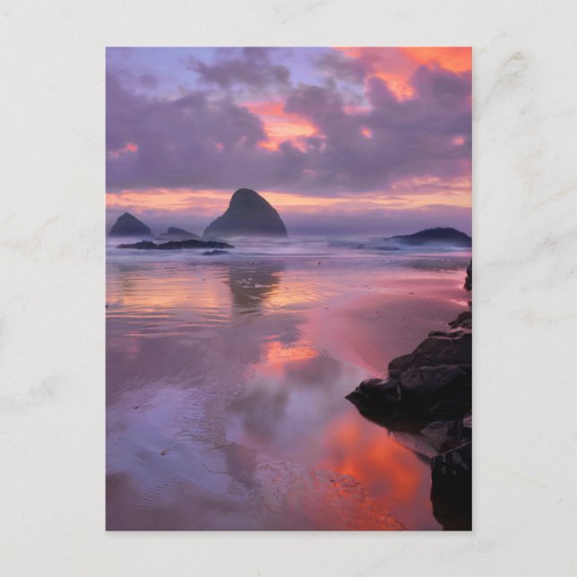 Cartão Postal Oregon beach and sea stacks, sunset (Frente)