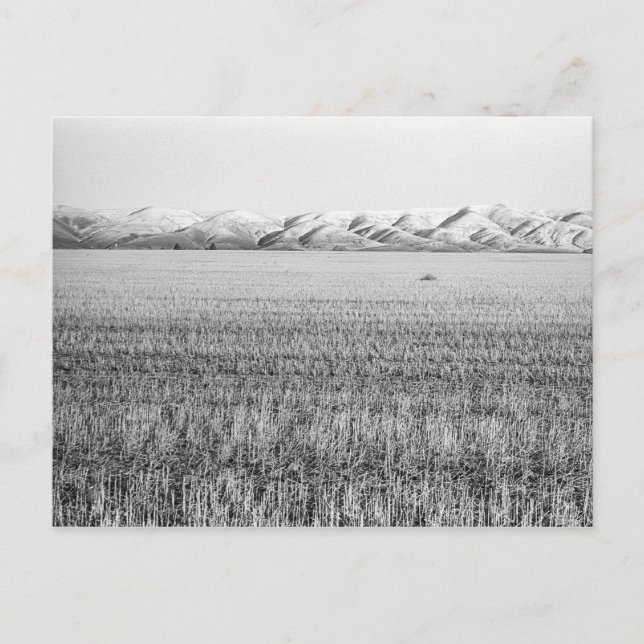 Cartão Postal Oregon Central, Norte de Maupin (postal) (Frente)