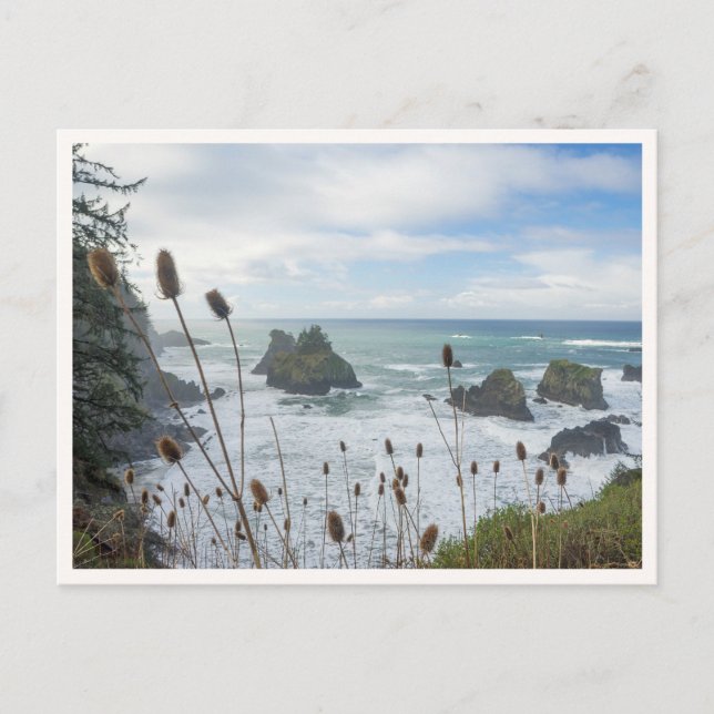 Cartão Postal Oregon Coast Arch Rock State Park Brookings Beach (Frente)