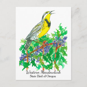 Cartão Postal Oregon Flor do Estado Bird Meadowlark