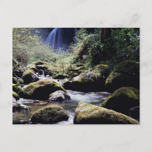 Cartão Postal Oregon, Floresta Nacional Siskiyou, Elk Creek