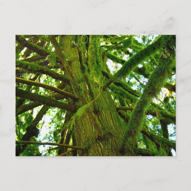 Cartão Postal Oregon Green (Frente)