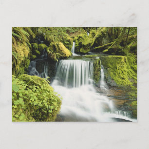 Cartão Postal Oregon, Waterfall no Willamette