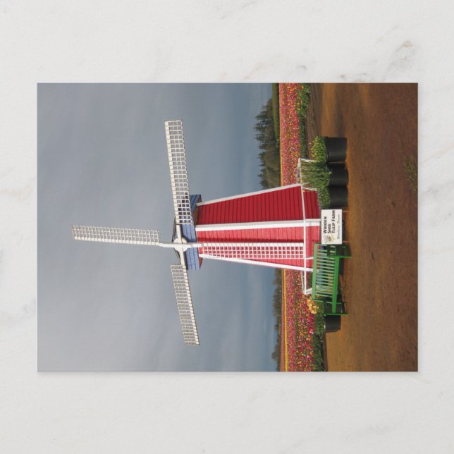 Cartão Postal Oregon Windmill Post Card (Frente)