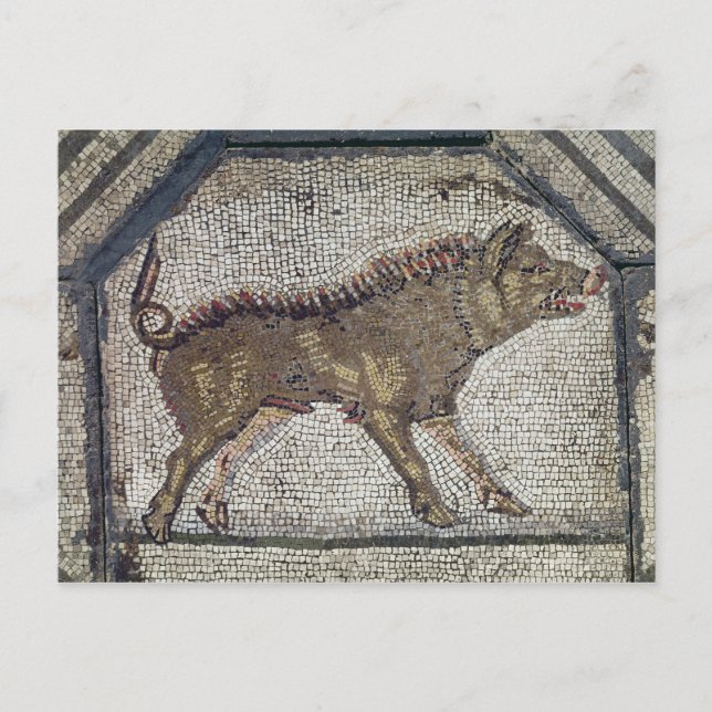 Cartão Postal Orfeus Encharcando os Animais (Frente)