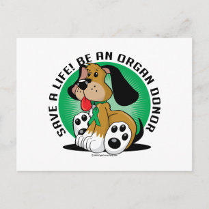 Cartão Postal Organ Donor Dog