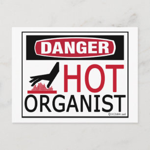 Cartão Postal Organista Quente
