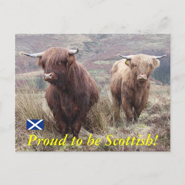 Cartão Postal Orgulho de ser escocês! (Frente)