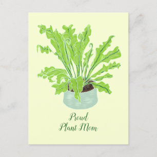 Cartão Postal Orgulhosa Mãe de Planta - samambaia ninho de pássa