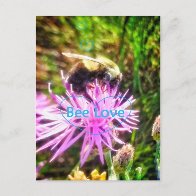 CARTÃO POSTAL ORIGINAL DA ABELHA AMOR (Frente)