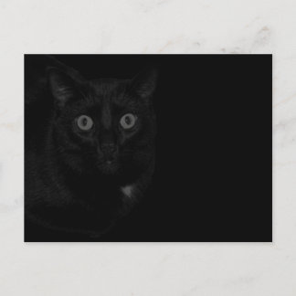 Cartão Postal Orion Meu Gato Apagão