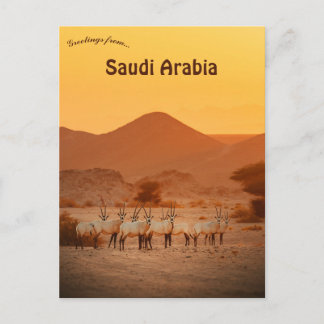 Cartão Postal Órix Árabe Neom Arábia Saudita