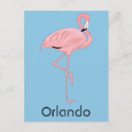 Cartão Postal Orlando Flórida Flamingo Rosa