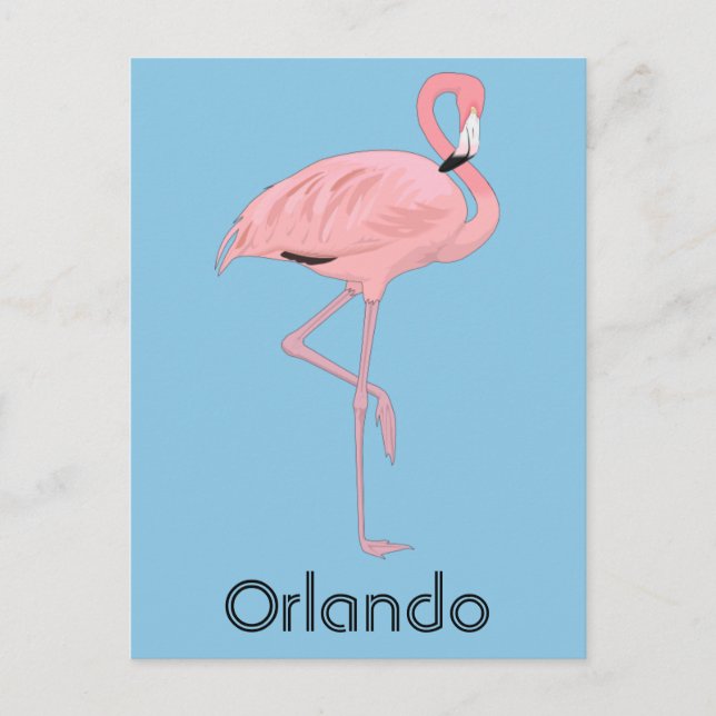 Cartão Postal Orlando Flórida Flamingo Rosa (Frente)