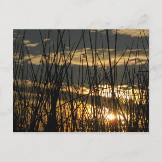 Cartão Postal Orlando Sunset