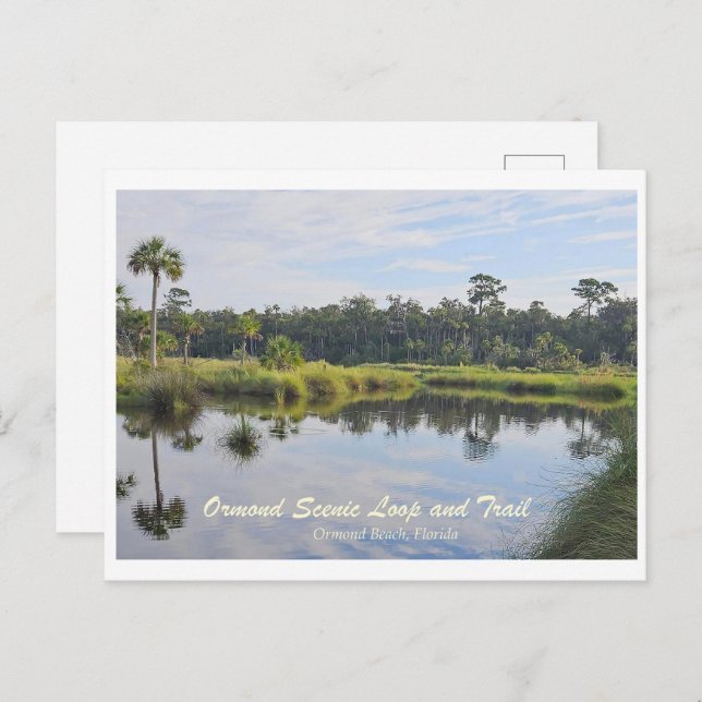 Cartão Postal Ormond Scenic Loop e Trail Postcard (Frente/Verso)