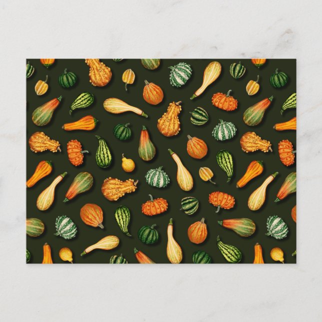 Cartão Postal Ornamentais para o outono, outono, Ação de Graças (Frente)