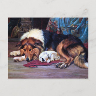 Cartão Postal Orphan Dog com Collie Vintage Art