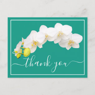 Cartão Postal Orquídea Branca Moderna Elegante Agradecimento Bot