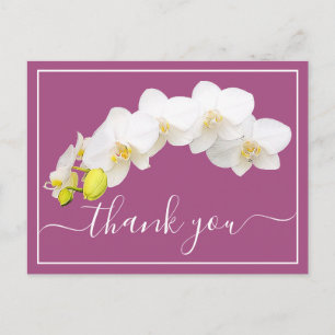 Cartão Postal Orquídea Branca Moderna Elegante Agradecimento Bot