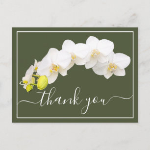 Cartão Postal Orquídea Branca Moderna Elegante Botânica Agradeci
