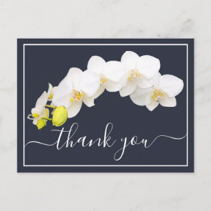 Cartão Postal Orquídea Branca Moderna Elegante Botânica Agradeci