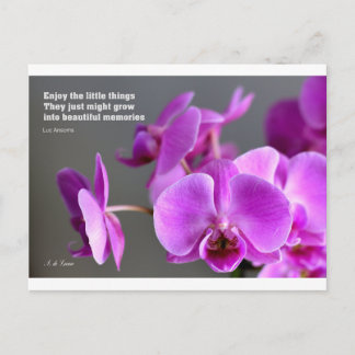 Cartão Postal Orquídea da mauve púrpura, citação inspiradora