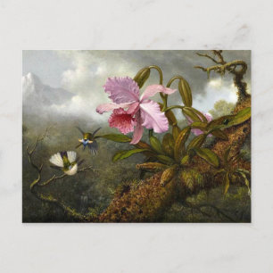 Cartão Postal Orquídea de Cattleya, dois beija-flores e um beso