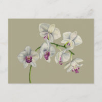 Orquídea de pintura aquosa